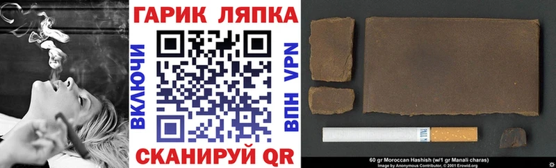 ГАШ Premium  Купить где  Суровикино 