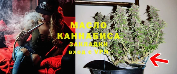 дмт Алексин