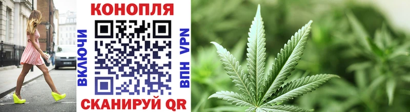 Канабис THC 21%  Купить где  Суровикино 